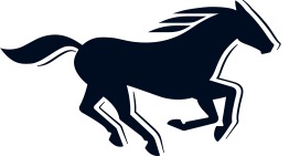 Mustang: Neuer Markenauftritt
