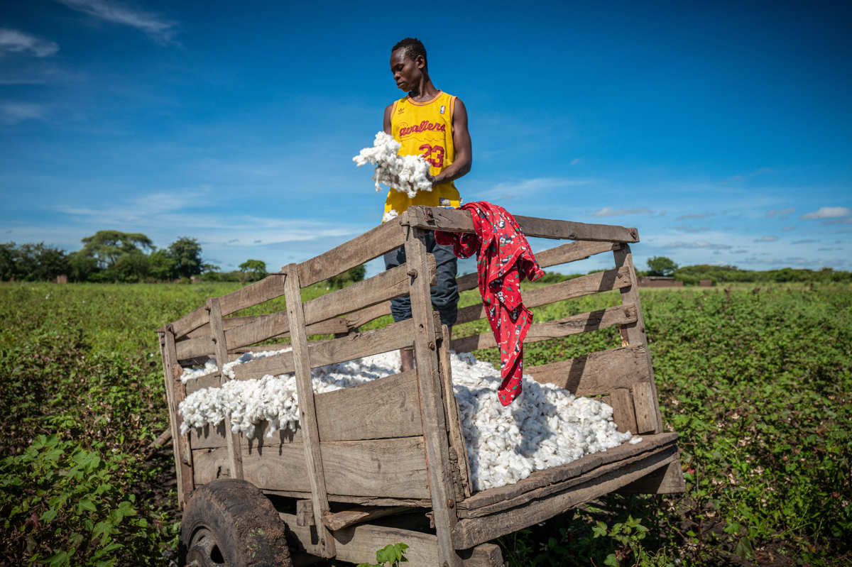 Aid by Trade Foundation erhält Auszeichnung der Deutschen Afrika Stiftung
