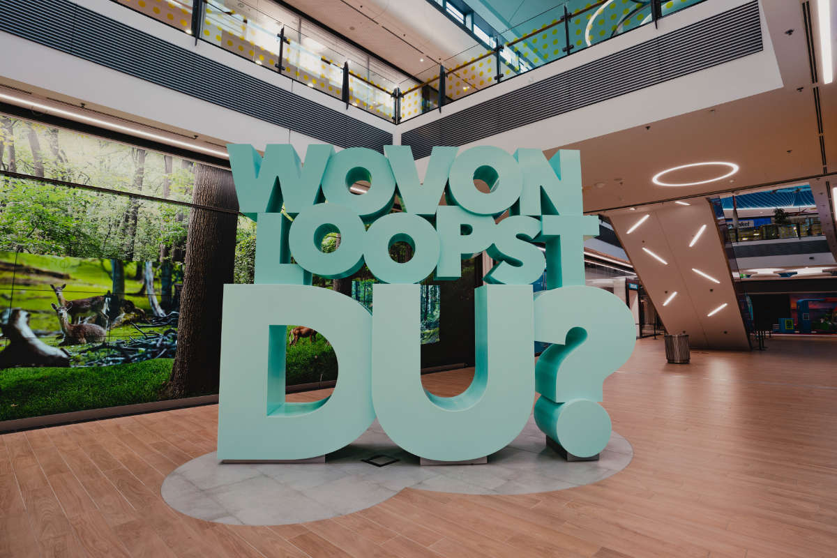 LOOP5 zieht positive Jahresbilanz