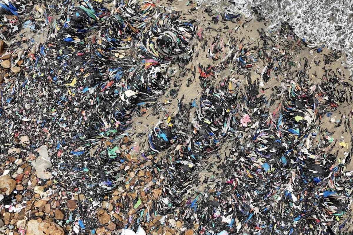 ECOALF warnt vor Black Friday