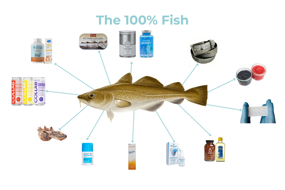 100 Prozent Fisch CREDIT Iceland Ocean Cluster