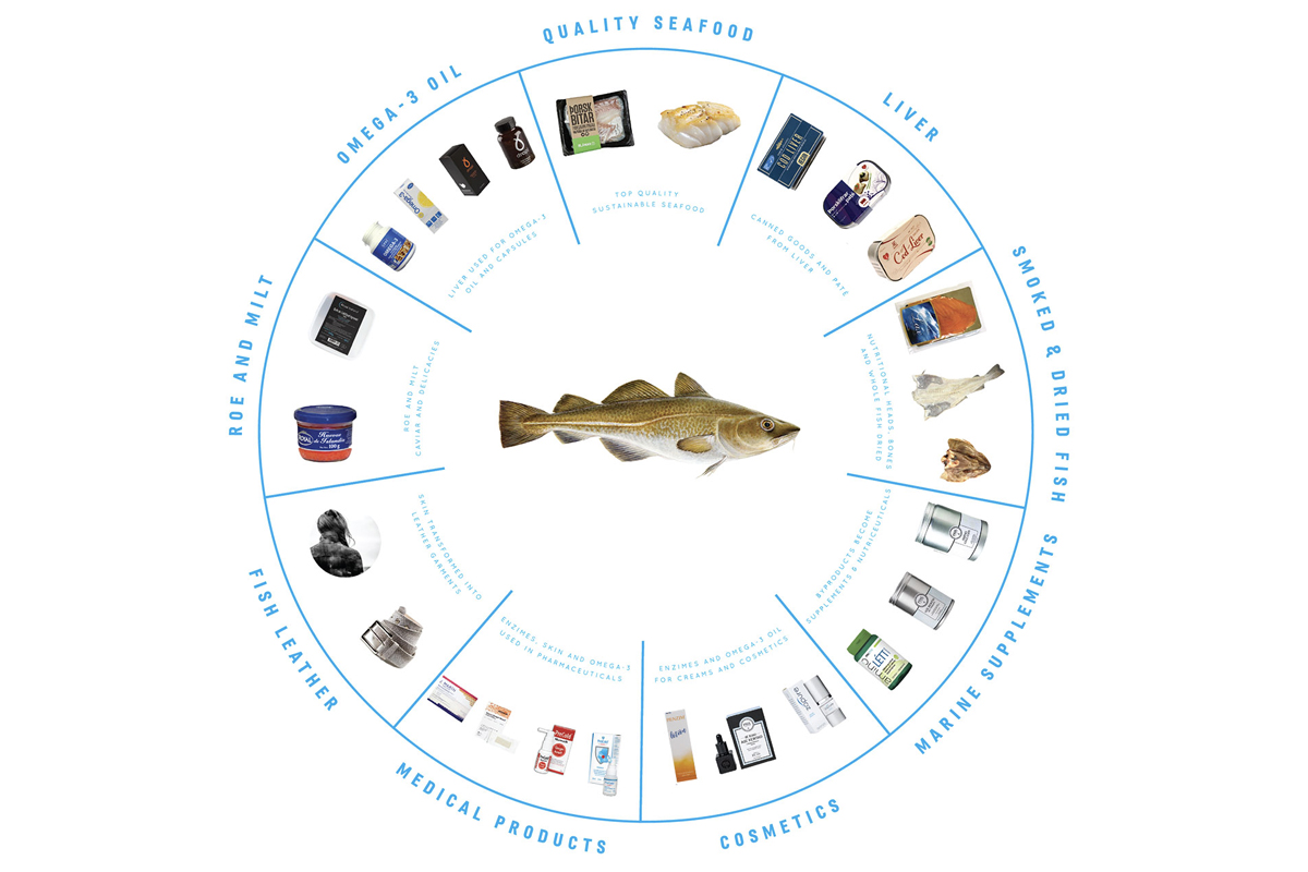 CREDIT Iceland Ocean Cluster