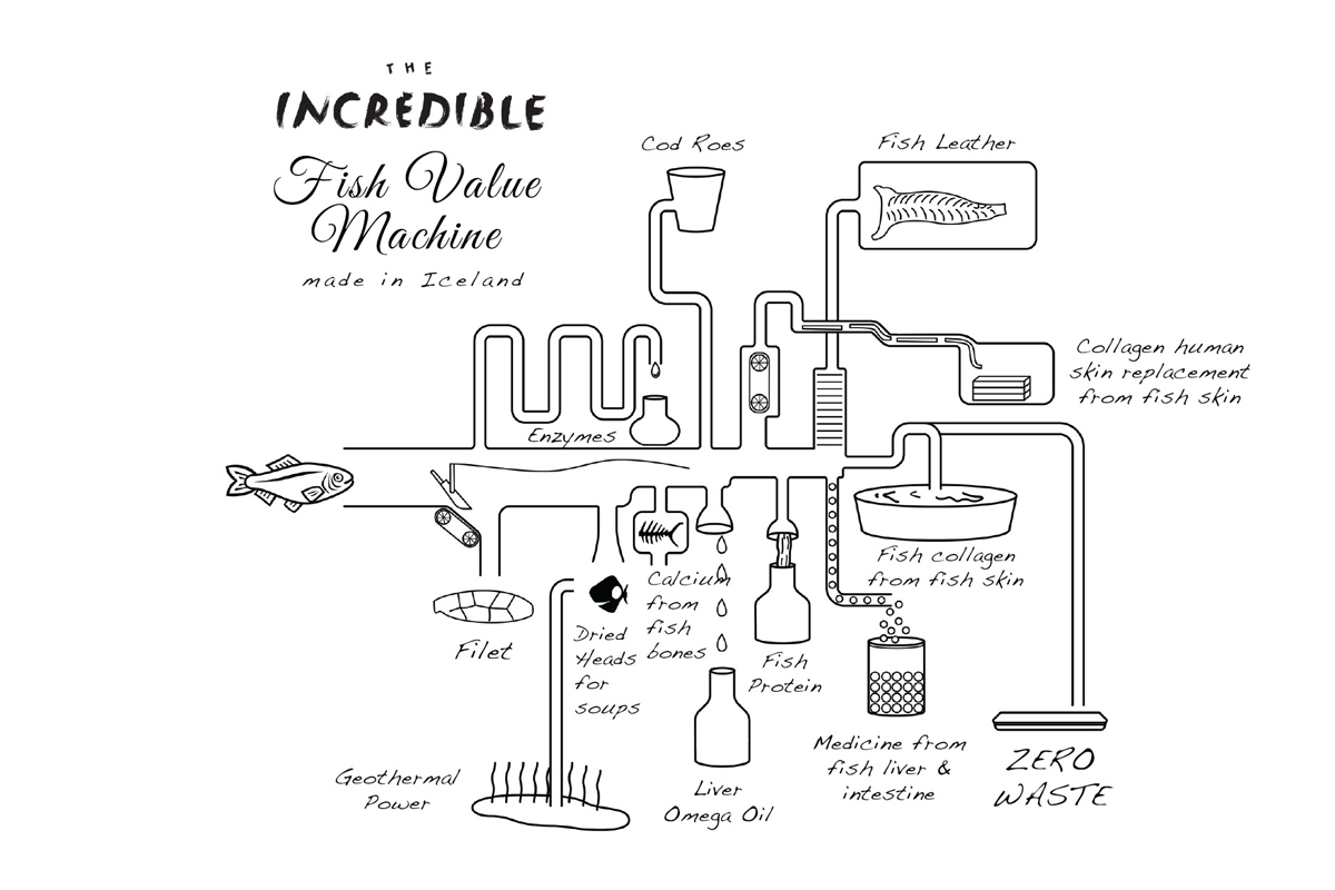Fishvaluemachine_JPEG CREDIT Iceland Ocean Cluster
