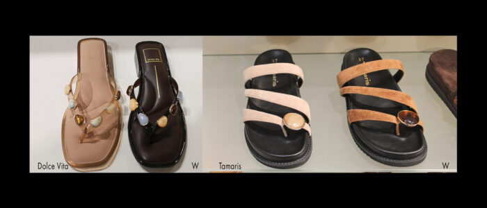 FT-Micam-102-2026-46